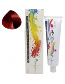 Tinte Platingloss 6.66 Rubio Oscuro Rojo Intenso 60Ml